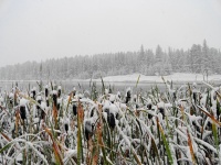 Black Hills early winter Sep 12.jpg